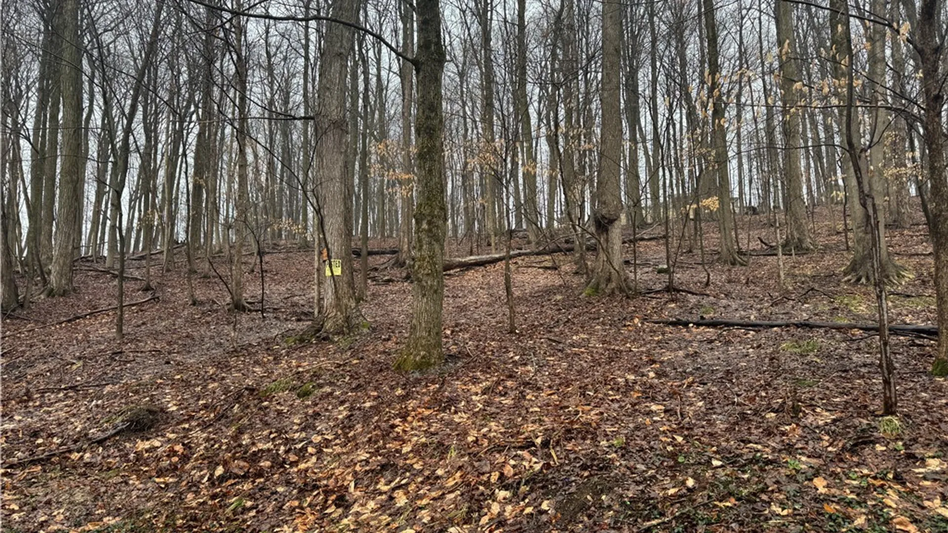 Property at Nob Road, Utica, NY 13501 3