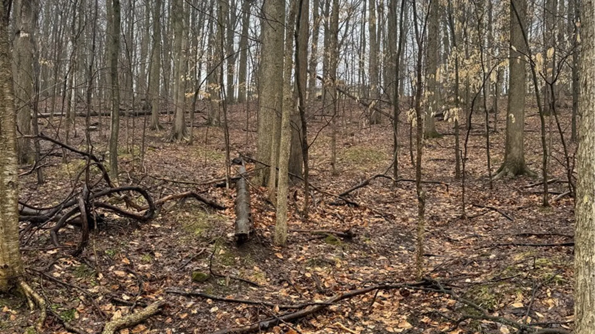 Property at Nob Road, Utica, NY 13501 7