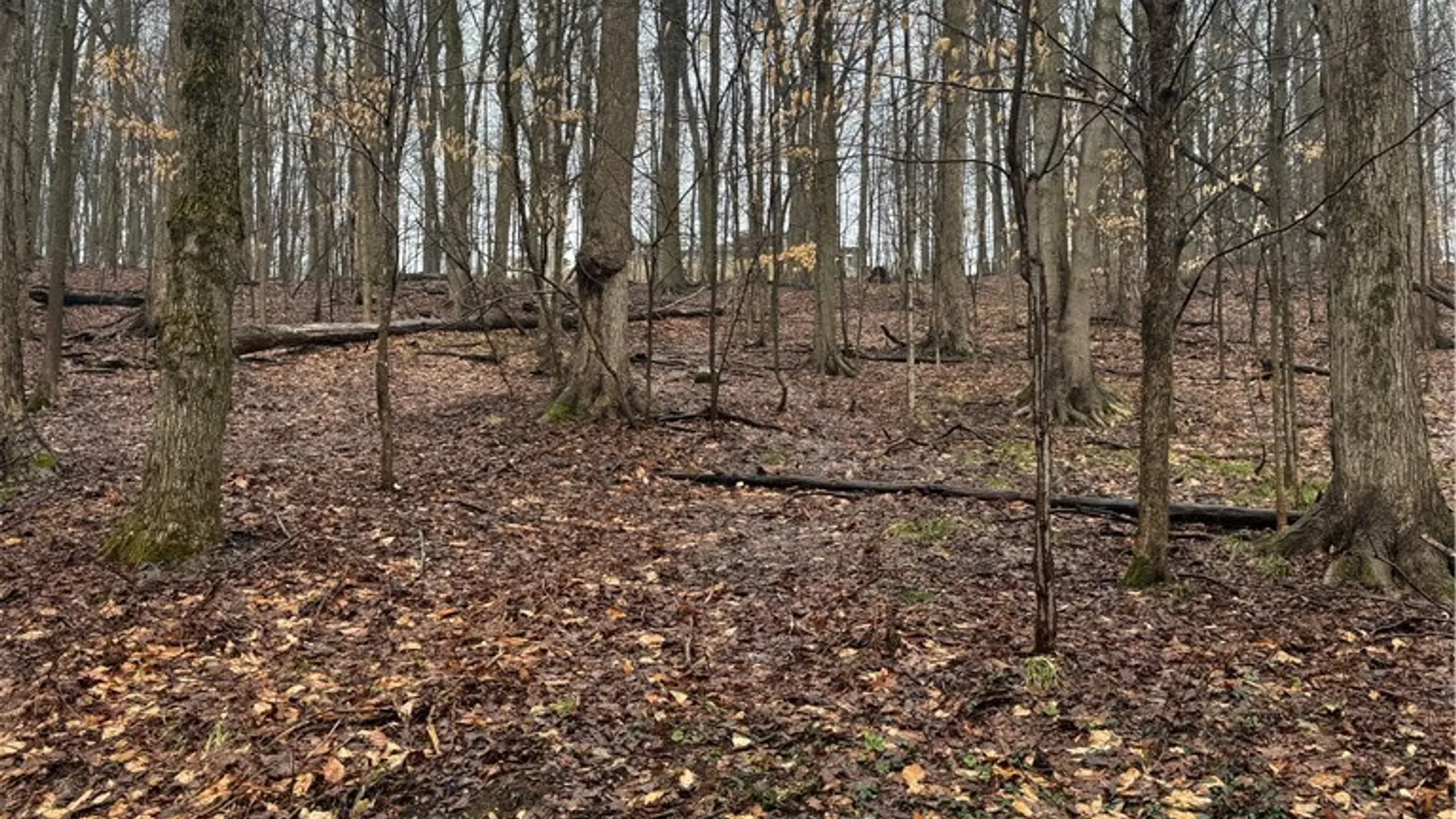 Property at 4 Nob Road, Utica, NY 13501 5