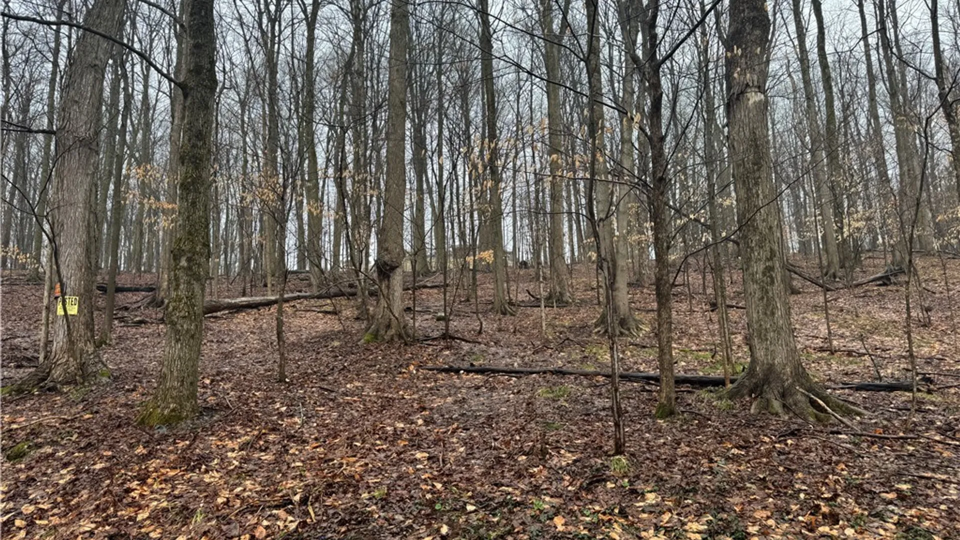 Property at 4 Nob Road, Utica, NY 13501 6