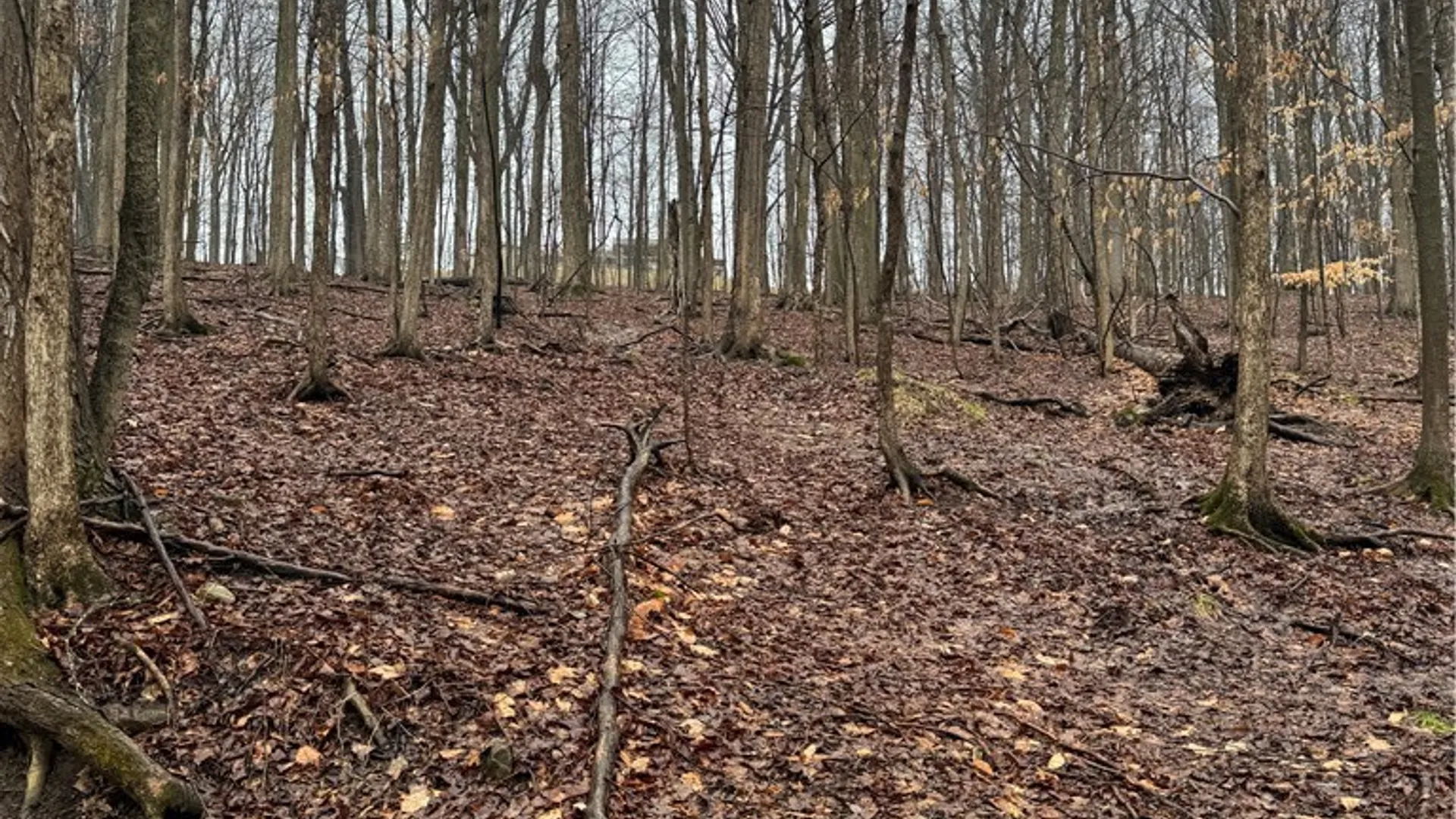 Property at 4 Nob Road, Utica, NY 13501 8