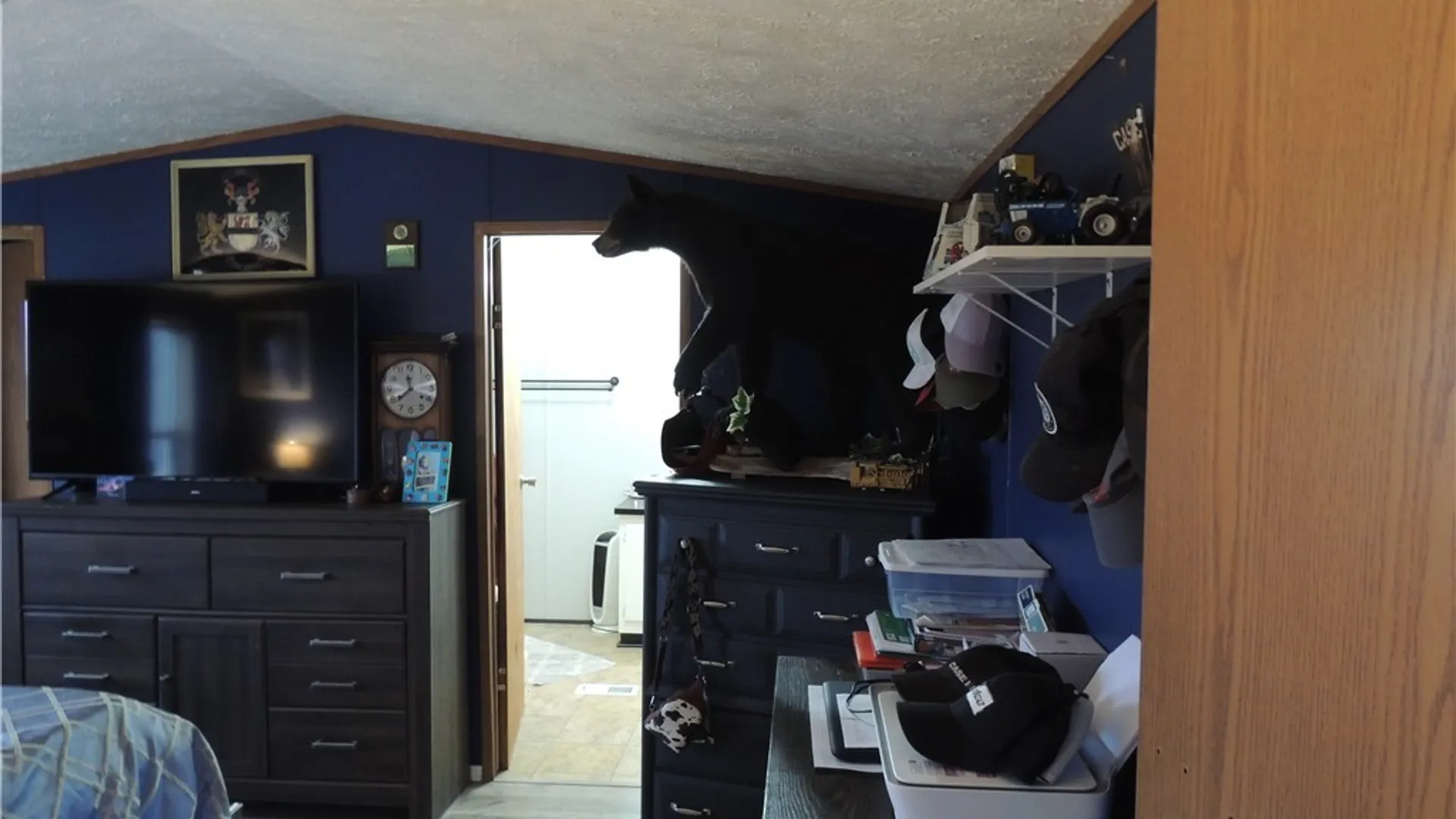 Property at 7139 Beech Hill Road, Chautauqua, NY 14728 24