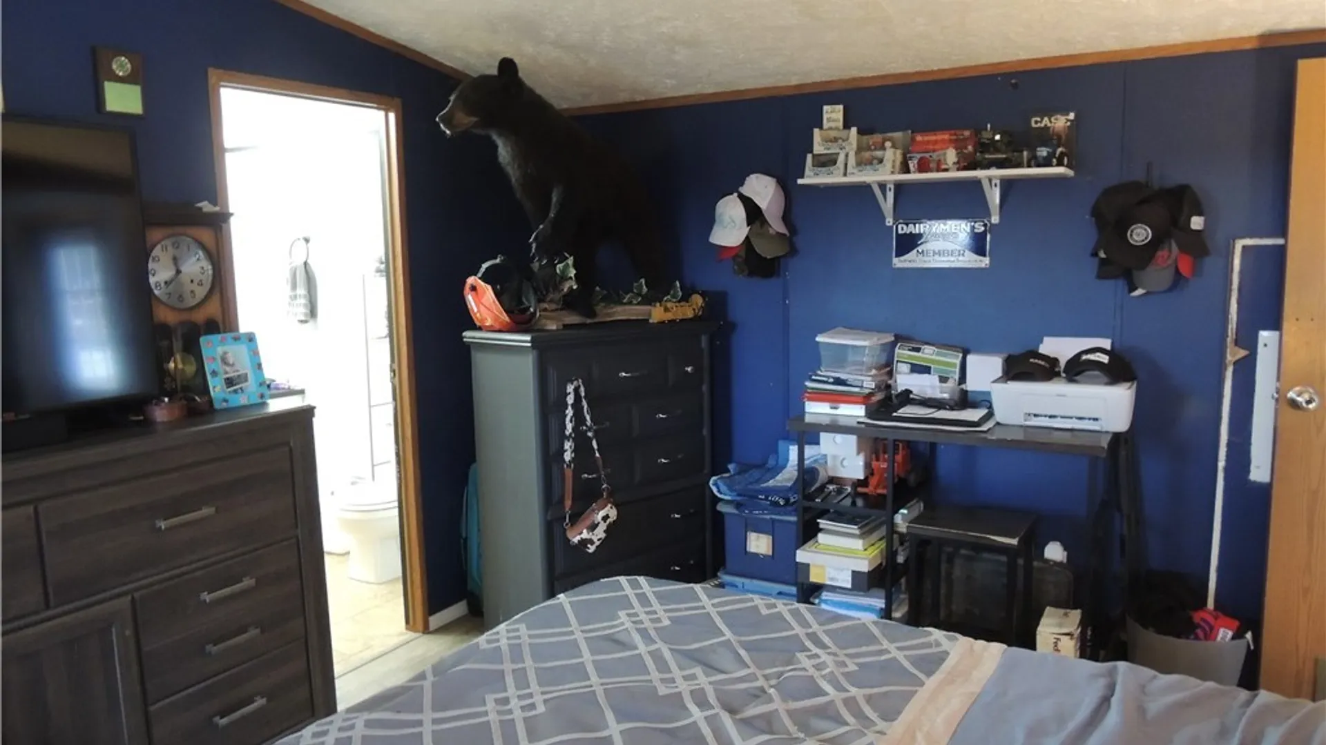 Property at 7139 Beech Hill Road, Chautauqua, NY 14728 26