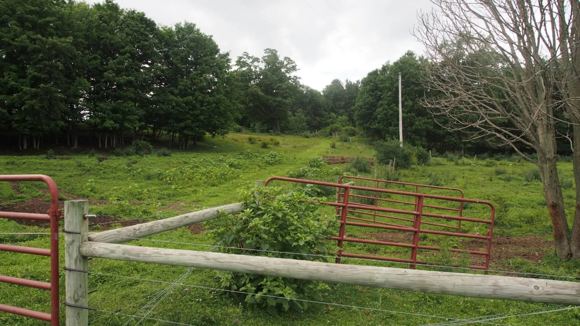 Property at 2401 Route 26, Cincinnatus, NY 13040 20