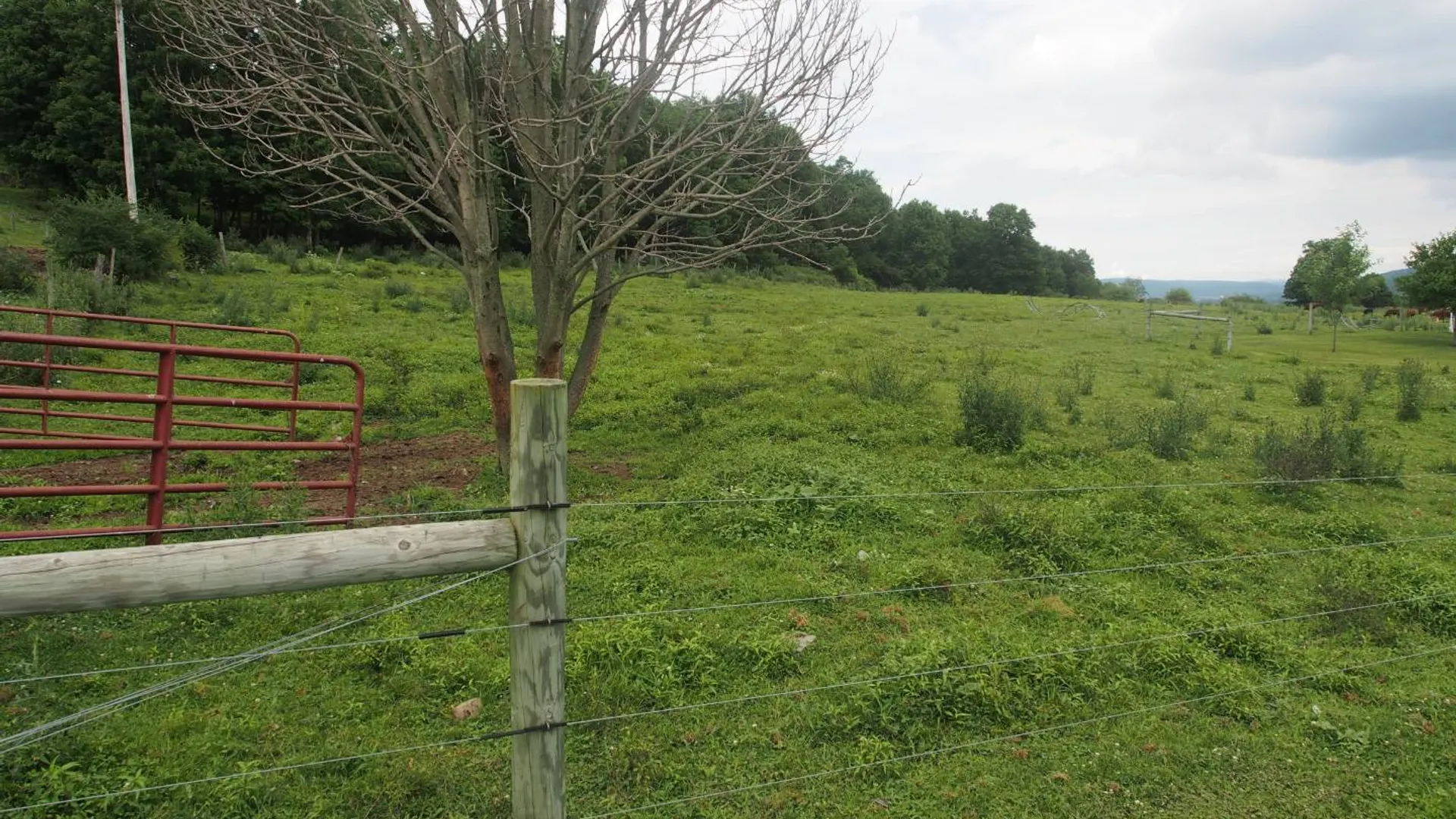 Property at 2401 Route 26, Cincinnatus, NY 13040 21
