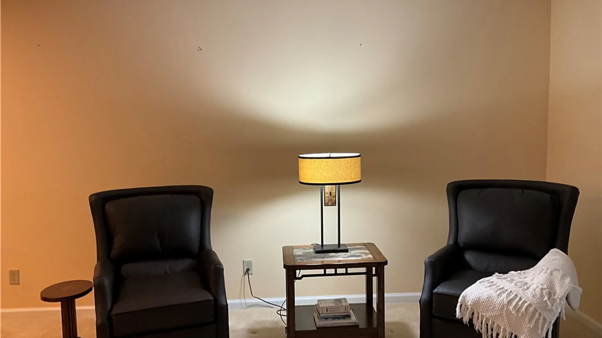 Property at 370 Walker Drive, Canandaigua City, NY 14424 13