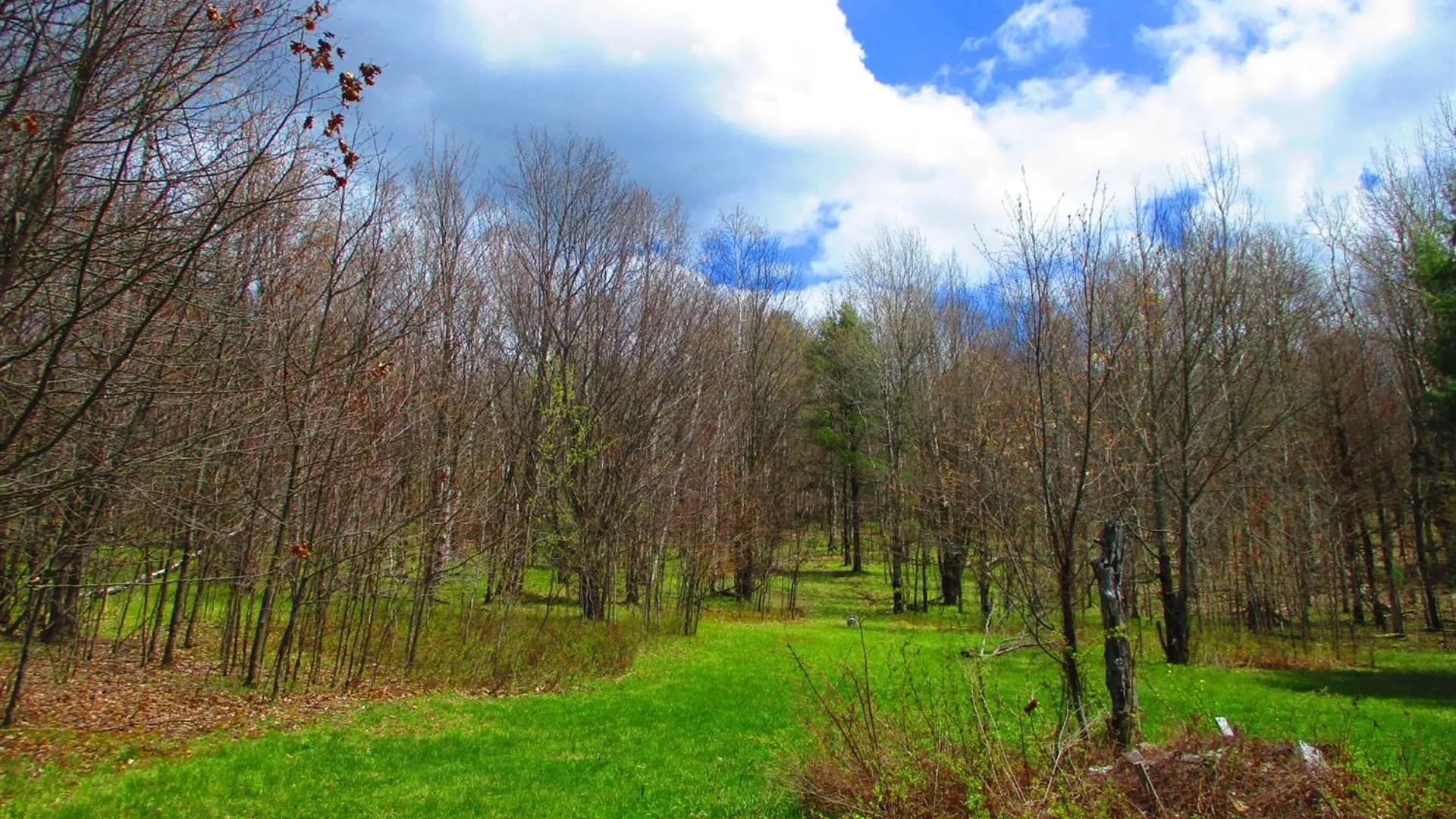 Property at 990 Smokey Avenue, Westford, NY 12155 10