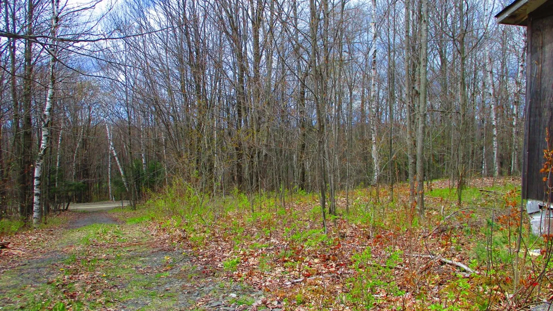 Property at 990 Smokey Avenue, Westford, NY 12155 11