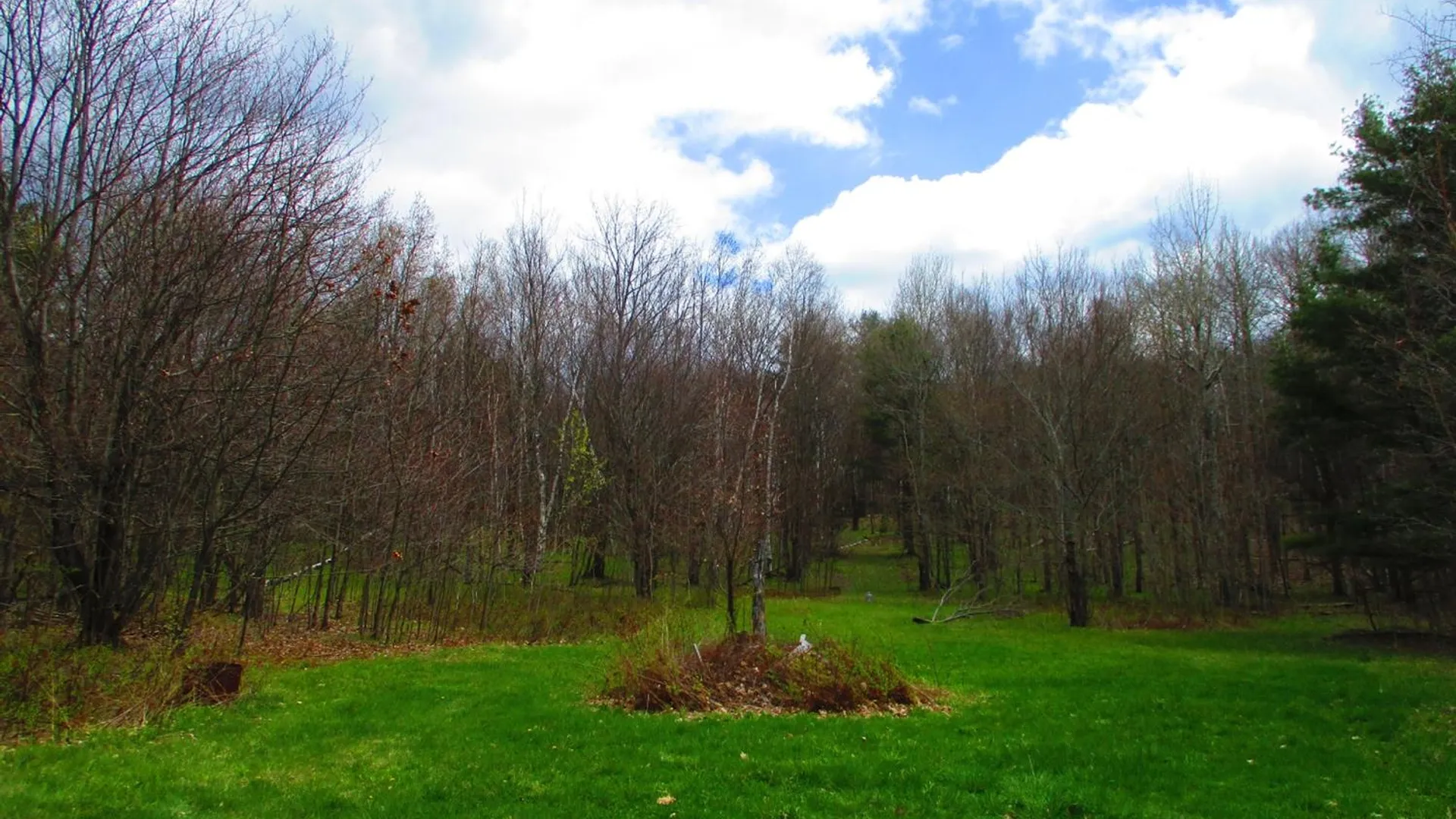 Property at 990 Smokey Avenue, Westford, NY 12155 14