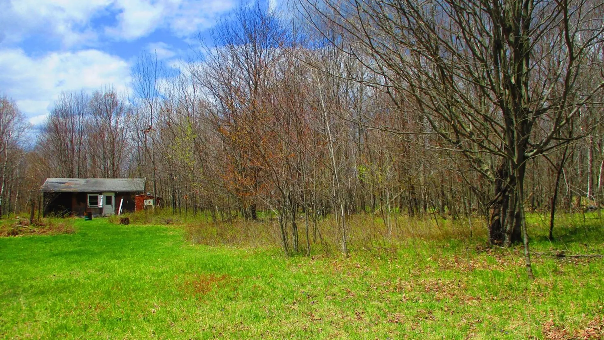 Property at 990 Smokey Avenue, Westford, NY 12155 18