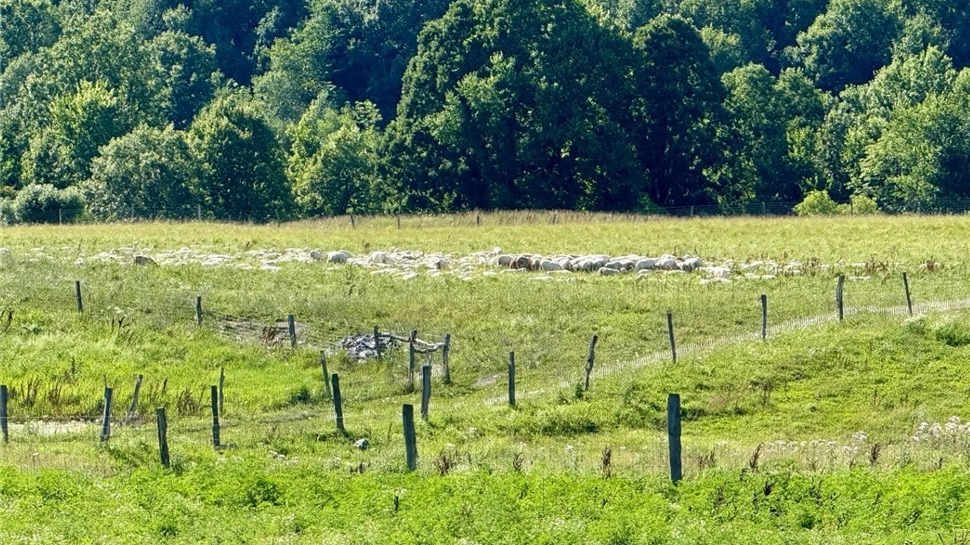 Property at 278 Country Club, Fowler, NY 13642 4