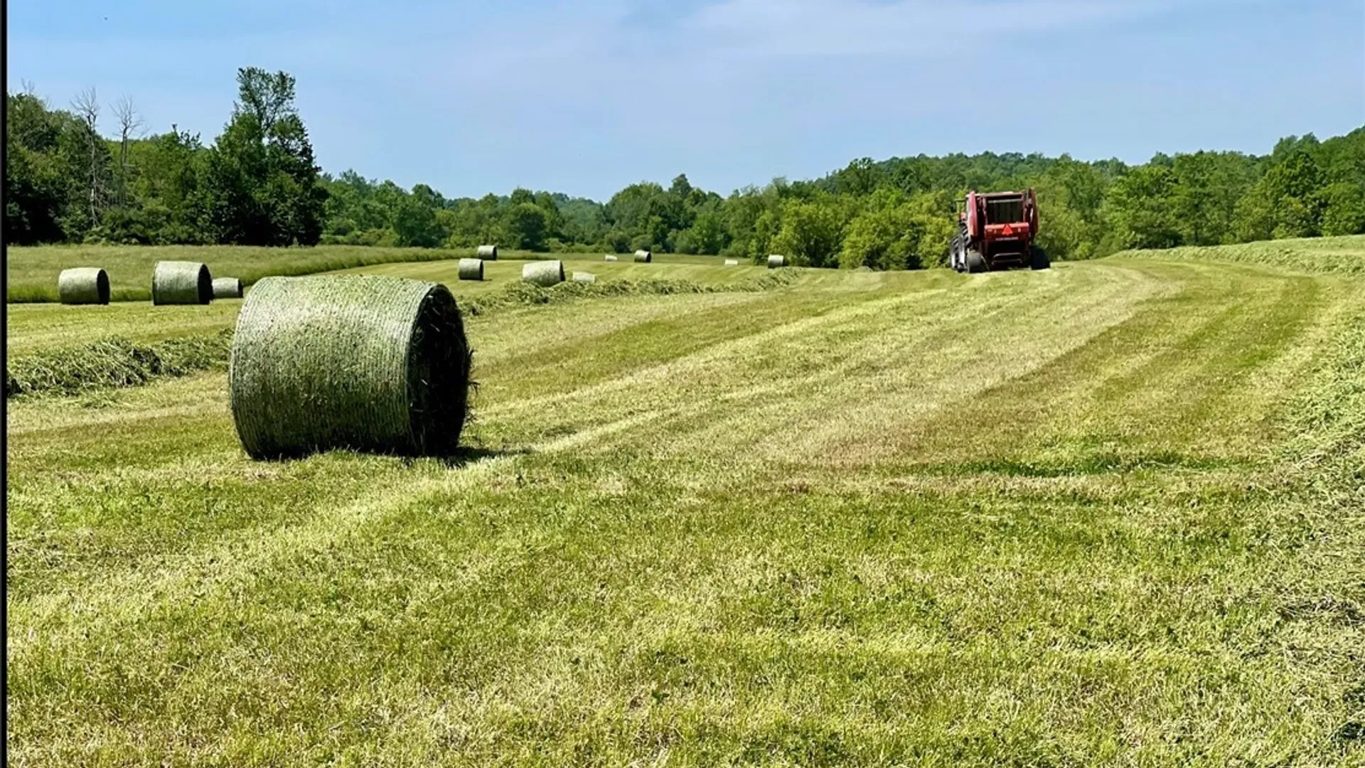 Property at 278 Country Club, Fowler, NY 13642 6