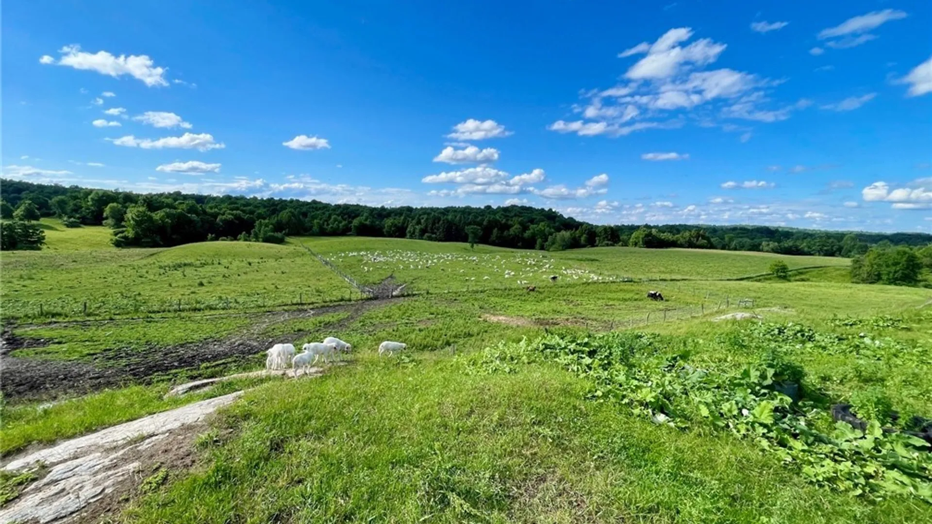 Property at 278 Country Club, Fowler, NY 13642 9