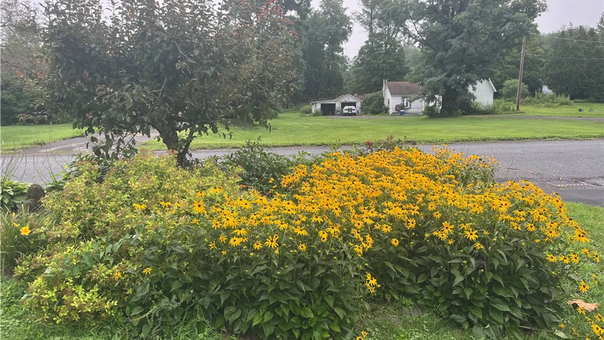Property at 50 Depot Street, Colchester, NY 13755 37
