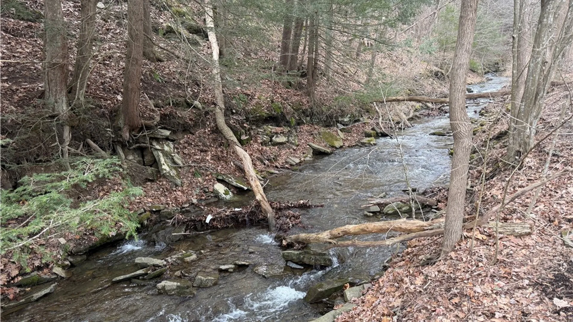 Property at 10 Weaver Creek Road, Erwin, NY 14870 6