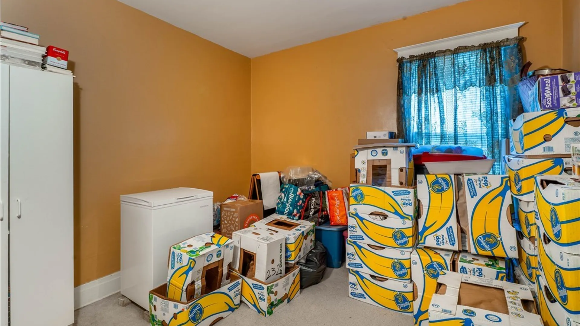 Property at 64 Delham Avenue, Buffalo, NY 14216 18