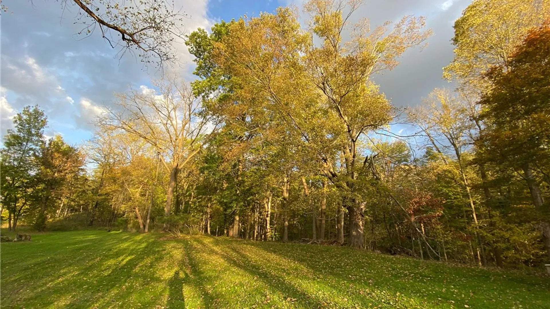 Property at 11 Cornell Walk, Ithaca City, NY 14850 11