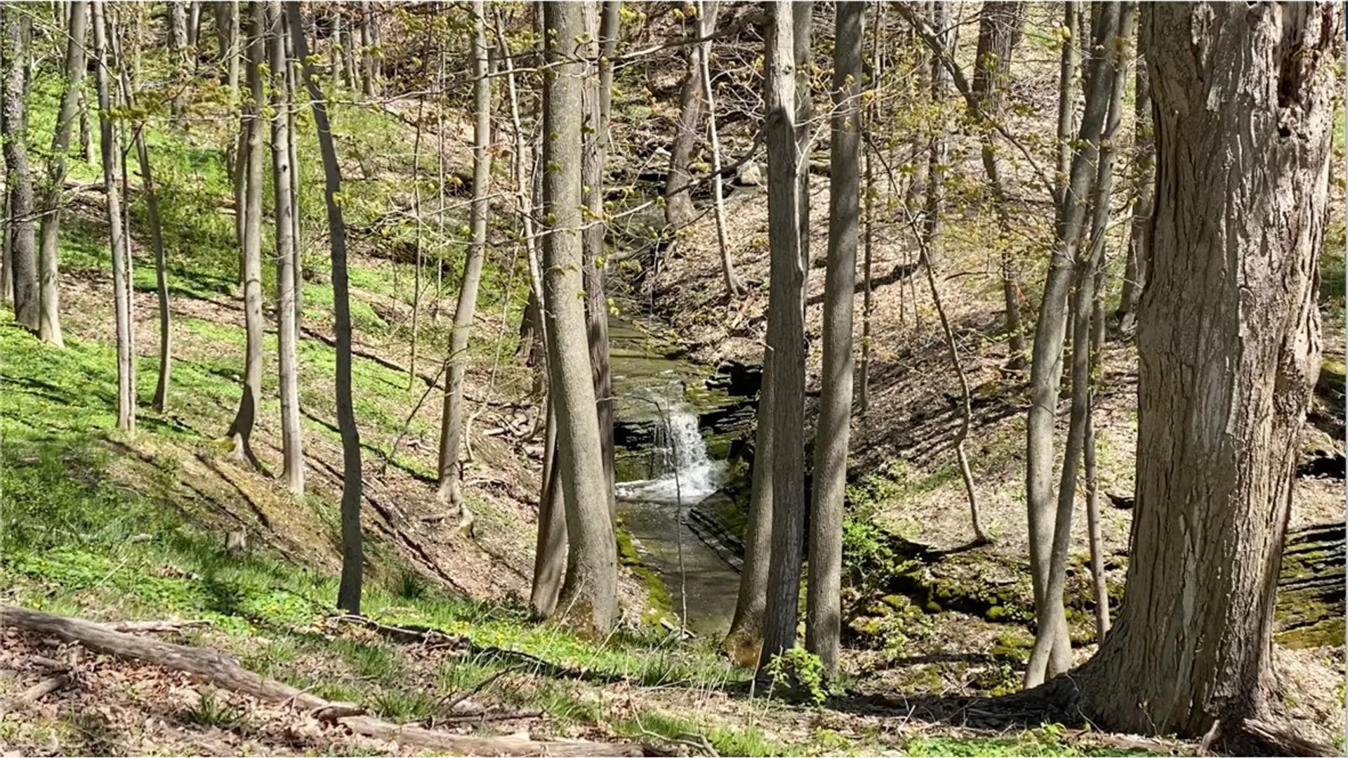 Property at 11 Cornell Walk, Ithaca City, NY 14850 12