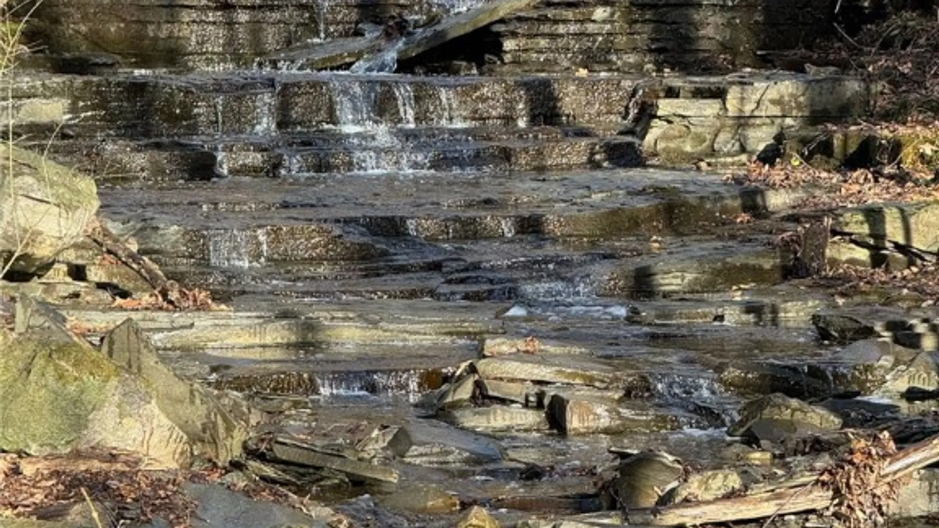 Property at 11 Cornell Walk, Ithaca City, NY 14850 13