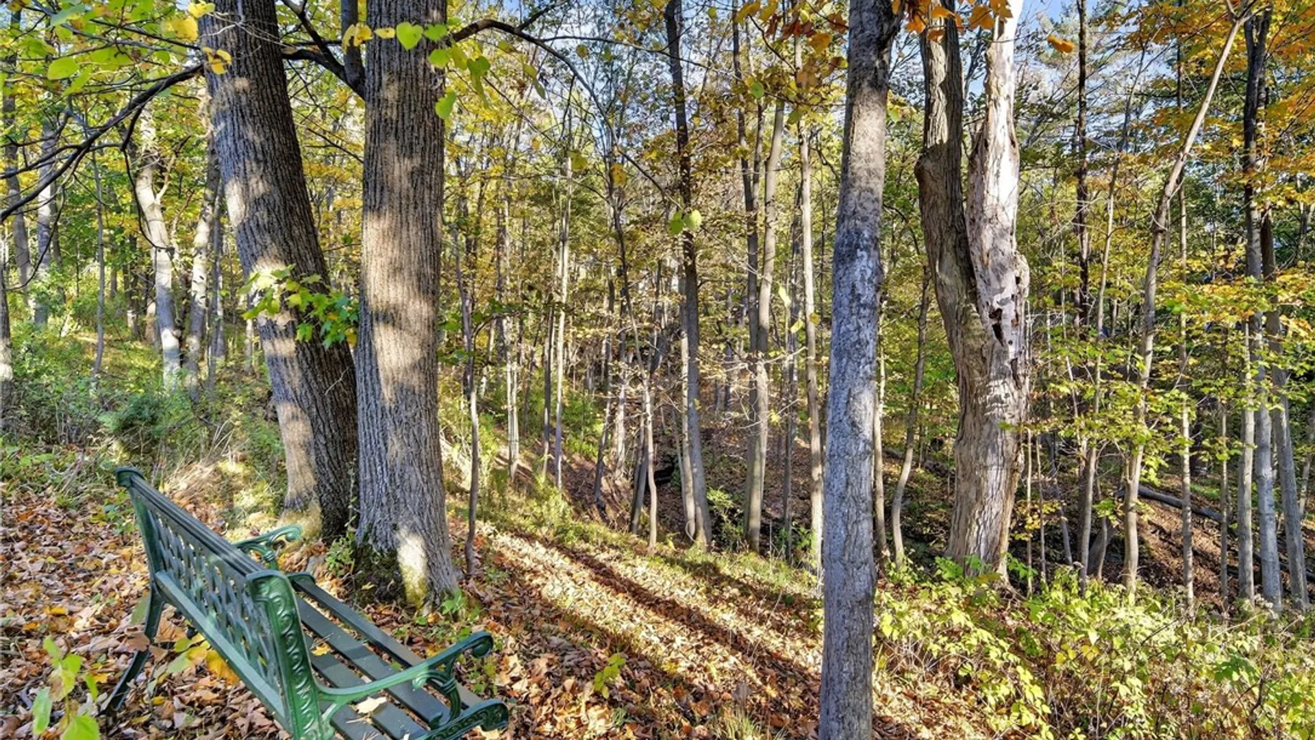 Property at 11 Cornell Walk, Ithaca City, NY 14850 14