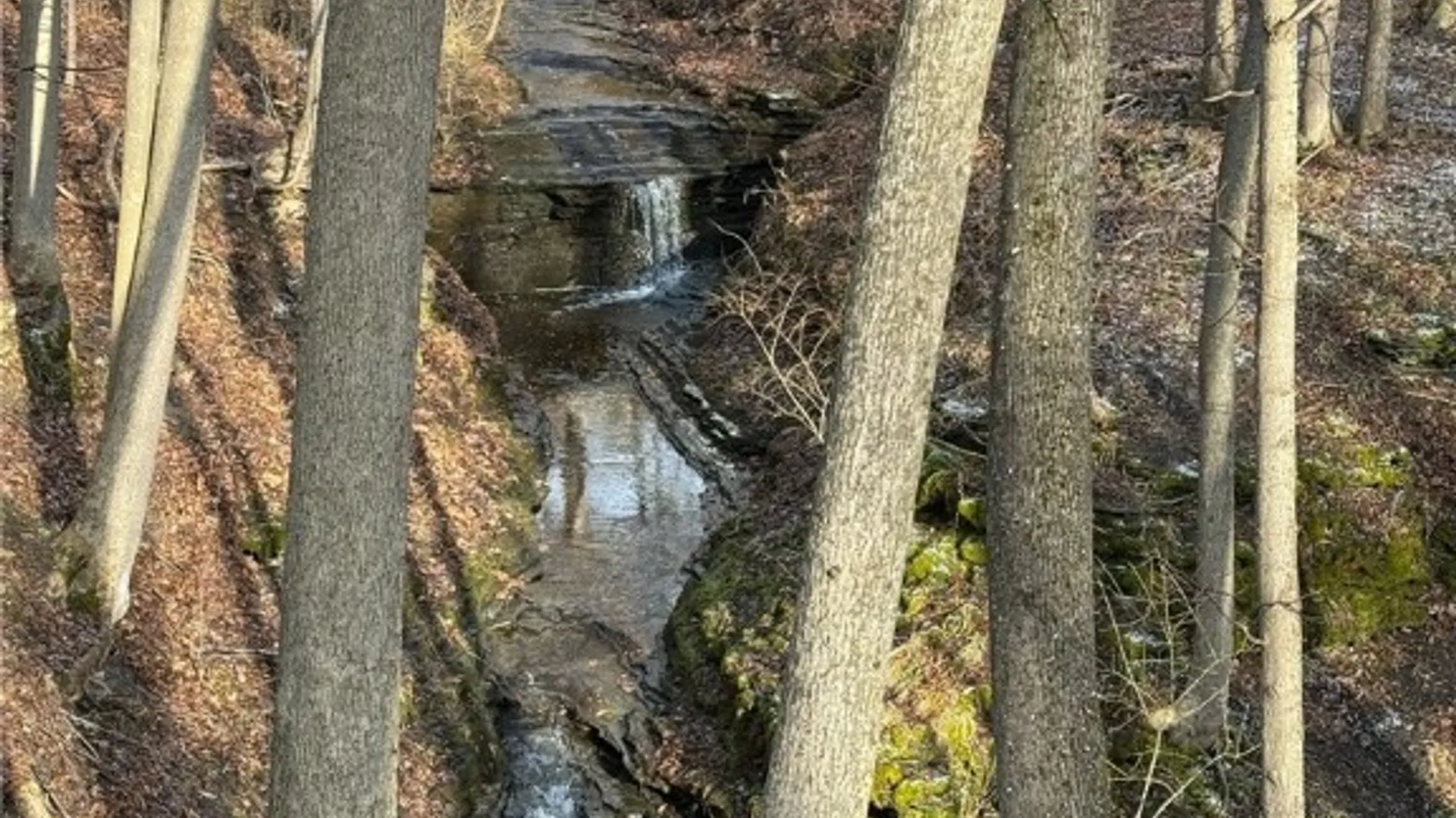 Property at 11 Cornell Walk, Ithaca City, NY 14850 15