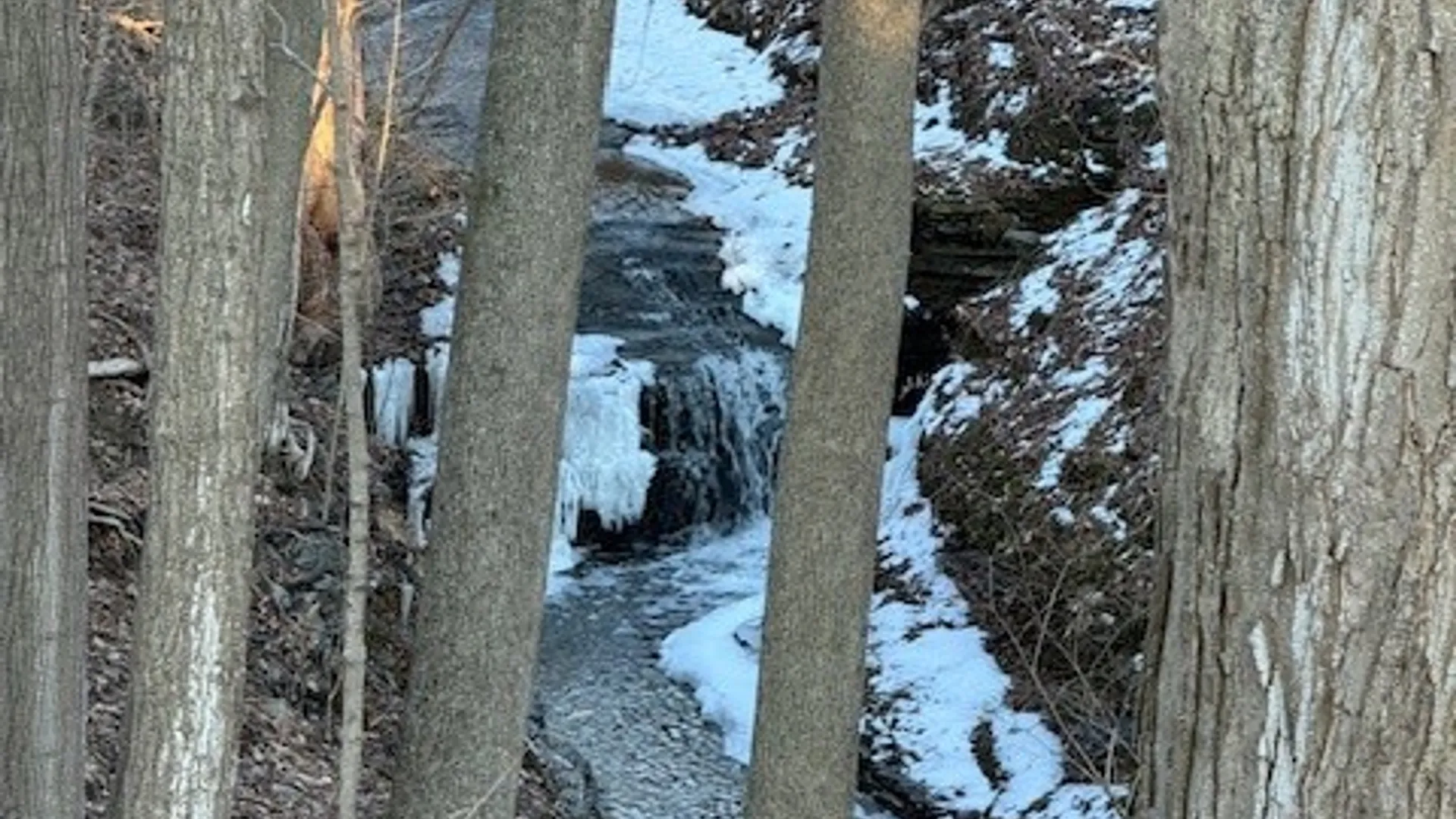 Property at 11 Cornell Walk, Ithaca City, NY 14850 16