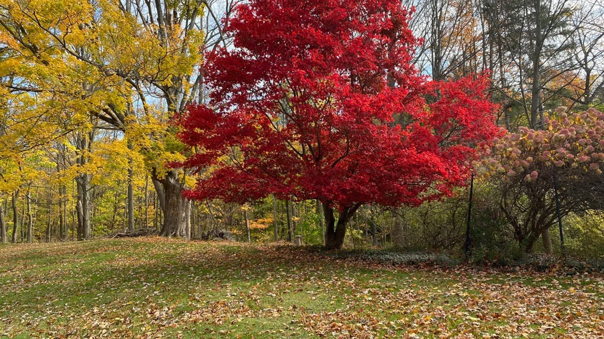 Property at 11 Cornell Walk, Ithaca City, NY 14850 49