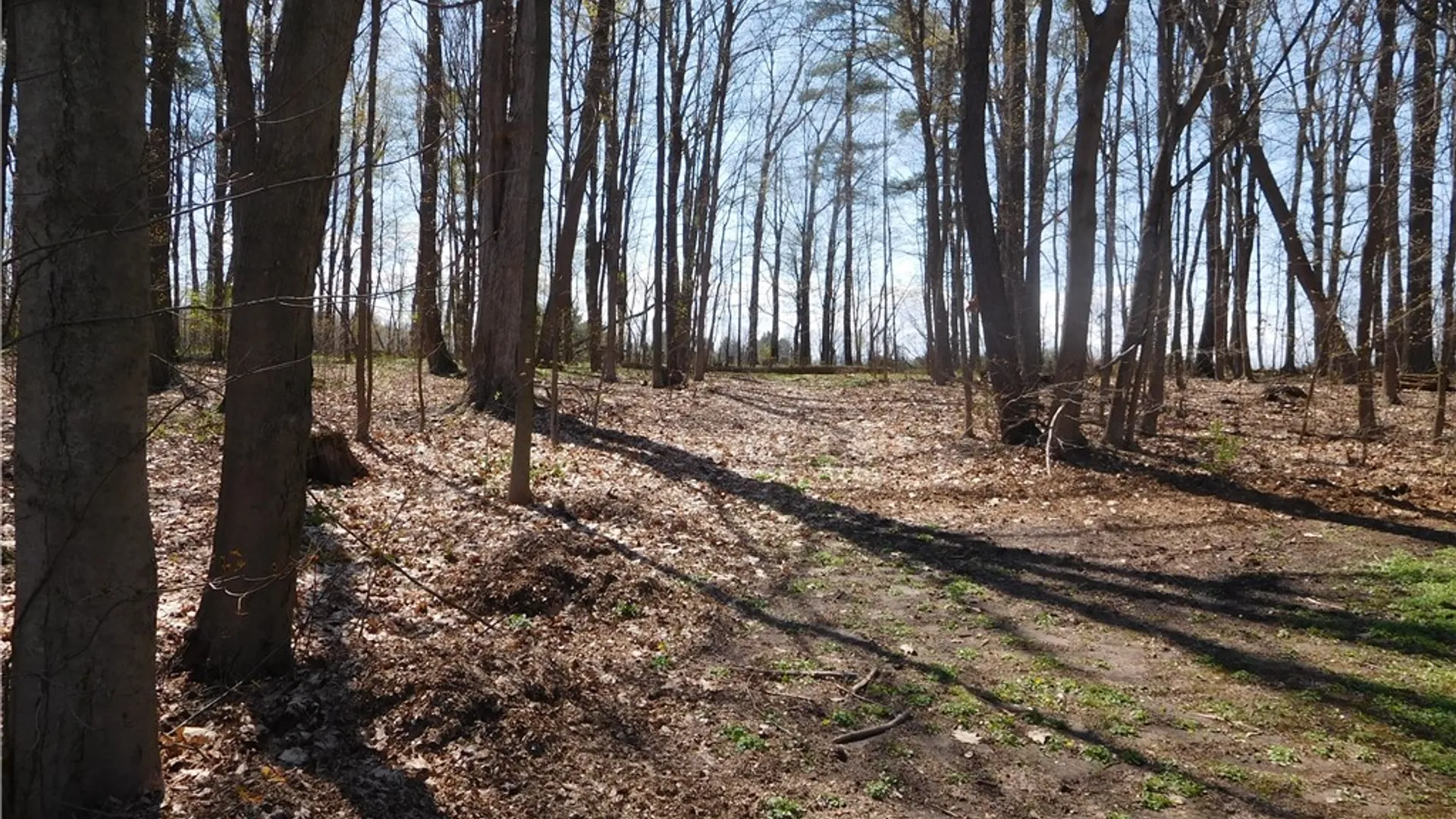 Property at 424 Lansingville Road, Lansing, NY 14882 48