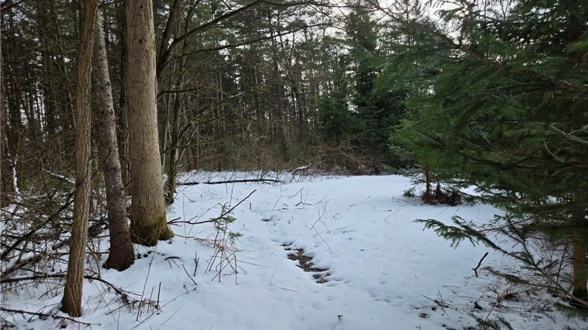 Property at Syler Road, Orangeville, NY 14569 10