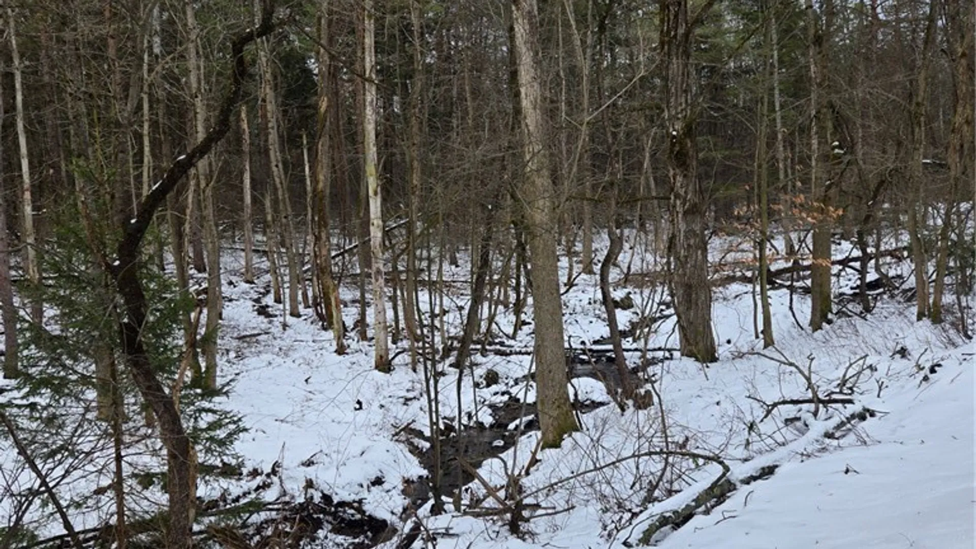 Property at Syler Road, Orangeville, NY 14569 13