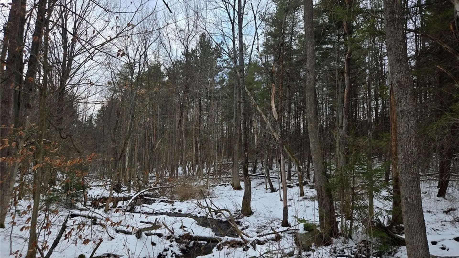 Property at Syler Road, Orangeville, NY 14569 16