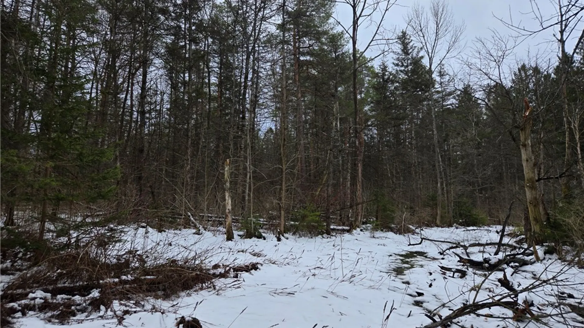 Property at Syler Road, Orangeville, NY 14569 17