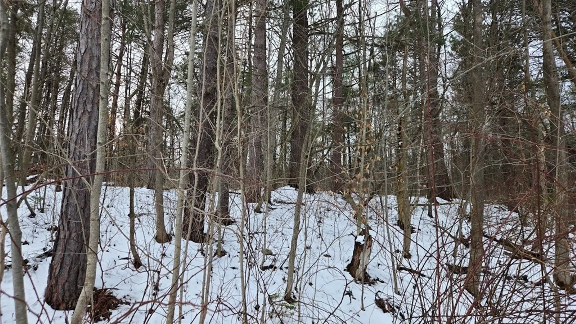 Property at Syler Road, Orangeville, NY 14569 3