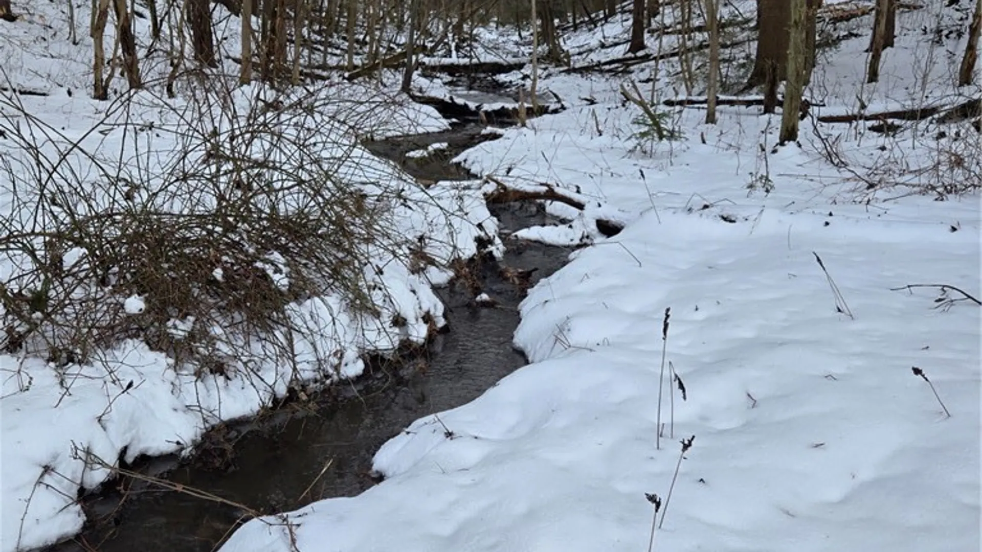 Property at Syler Road, Orangeville, NY 14569 4