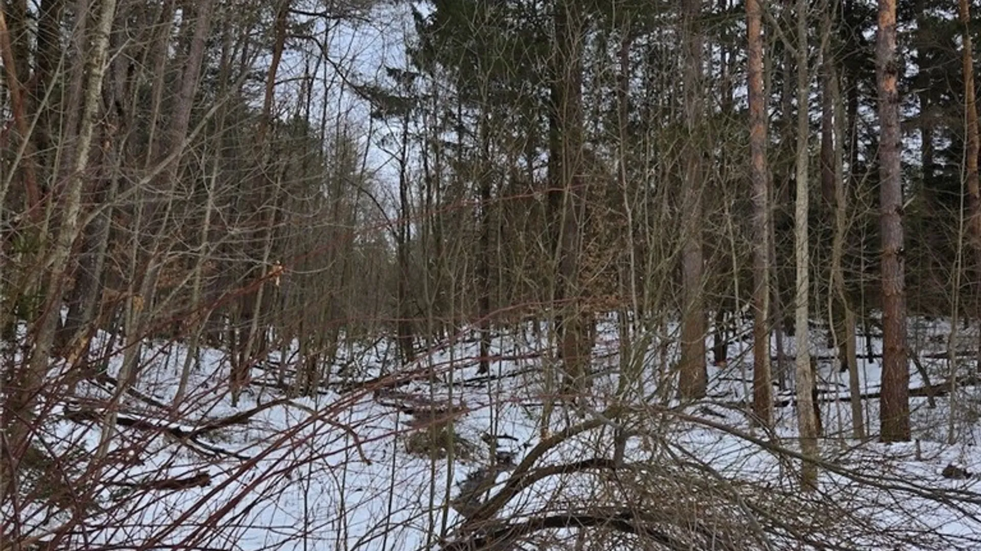 Property at Syler Road, Orangeville, NY 14569 6