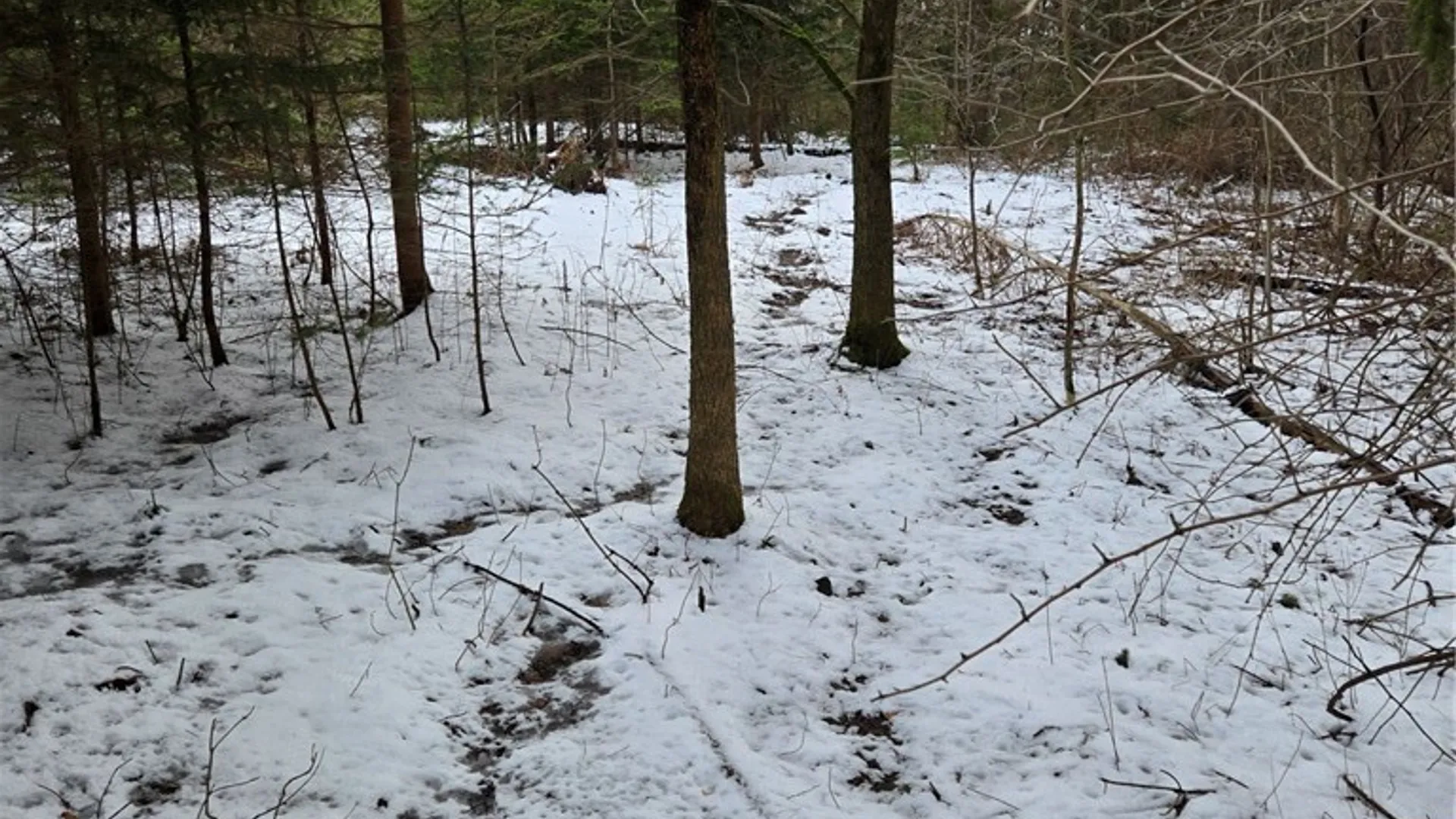 Property at Syler Road, Orangeville, NY 14569 8