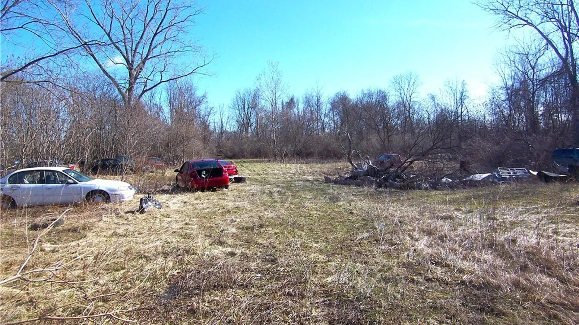 Property at 8187 Prole Road, Stafford, NY 14143 39
