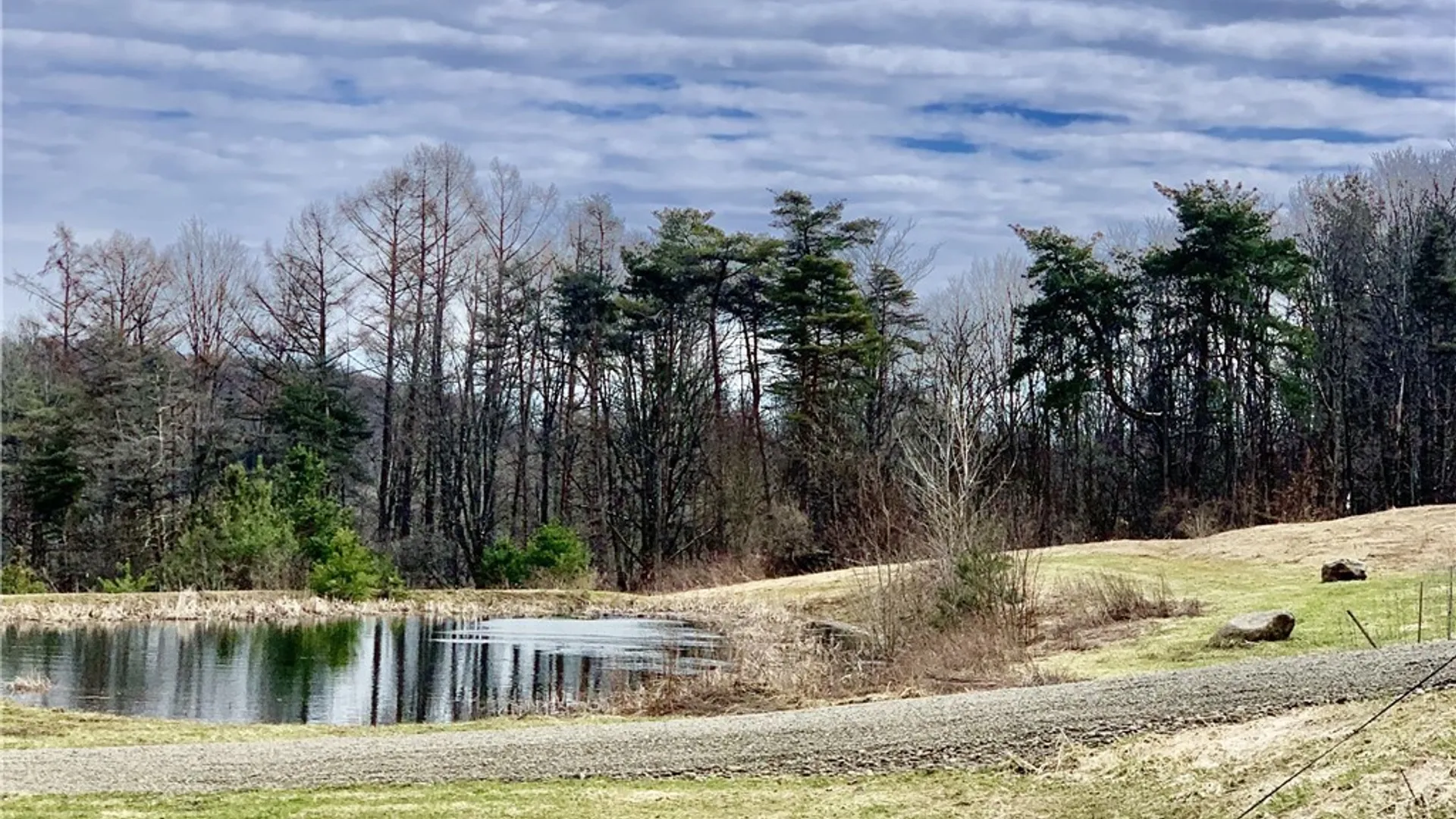 Property at 6451 Java Lake Road, Arcade, NY 14009 8