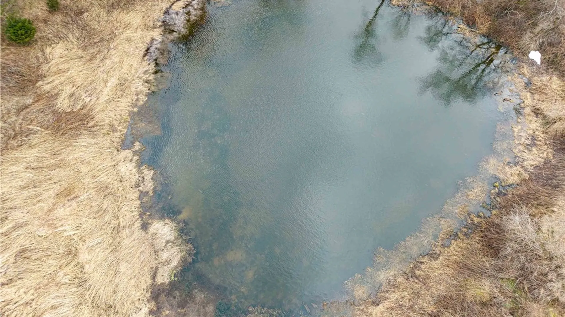 Property at Engdahl Road, Charlotte, NY 14782 10