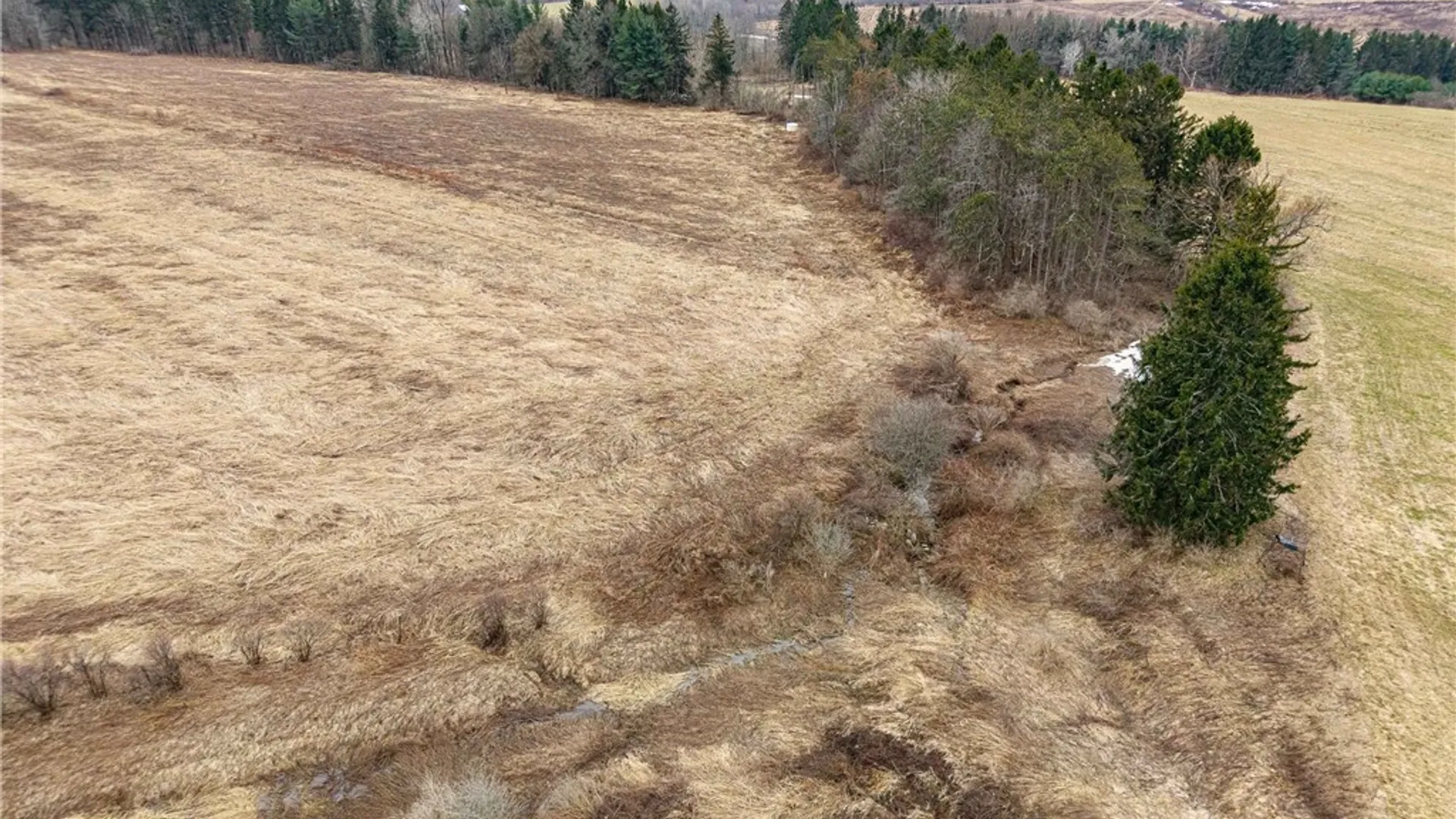 Property at Engdahl Road, Charlotte, NY 14782 11