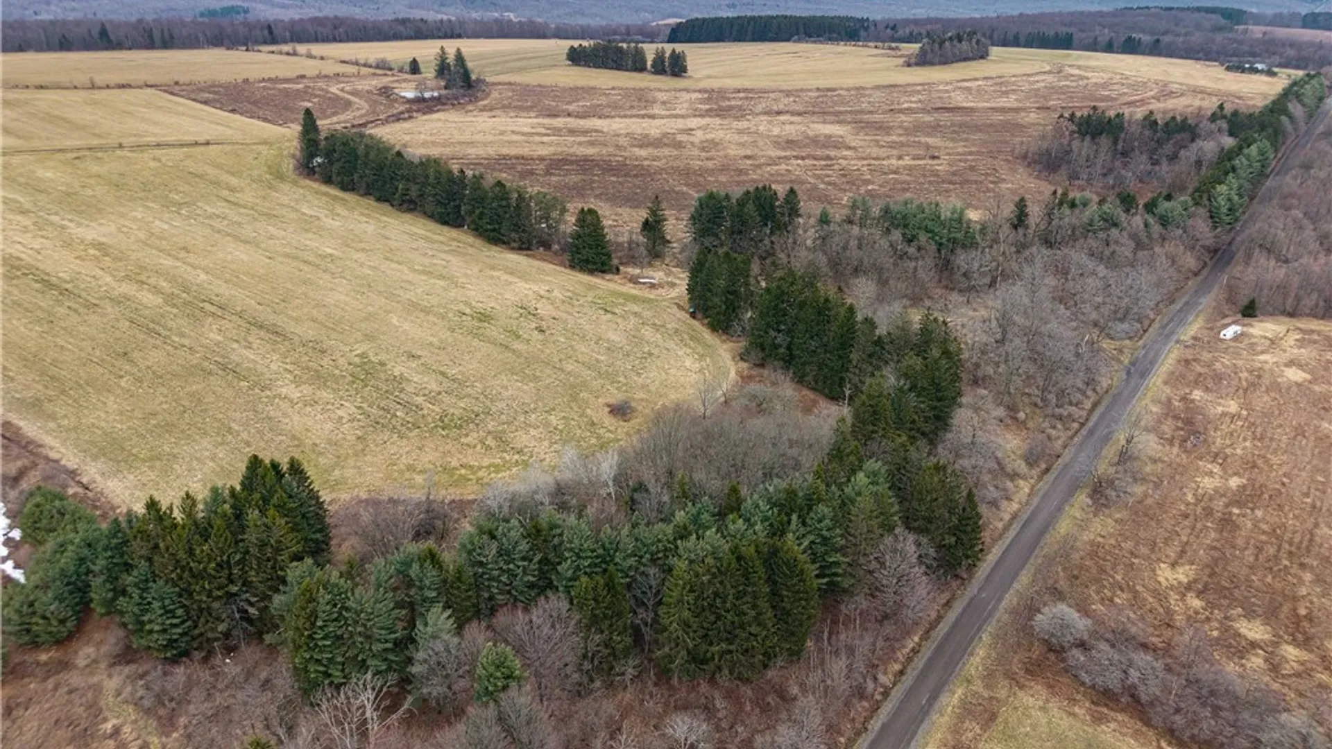 Property at Engdahl Road, Charlotte, NY 14782 15