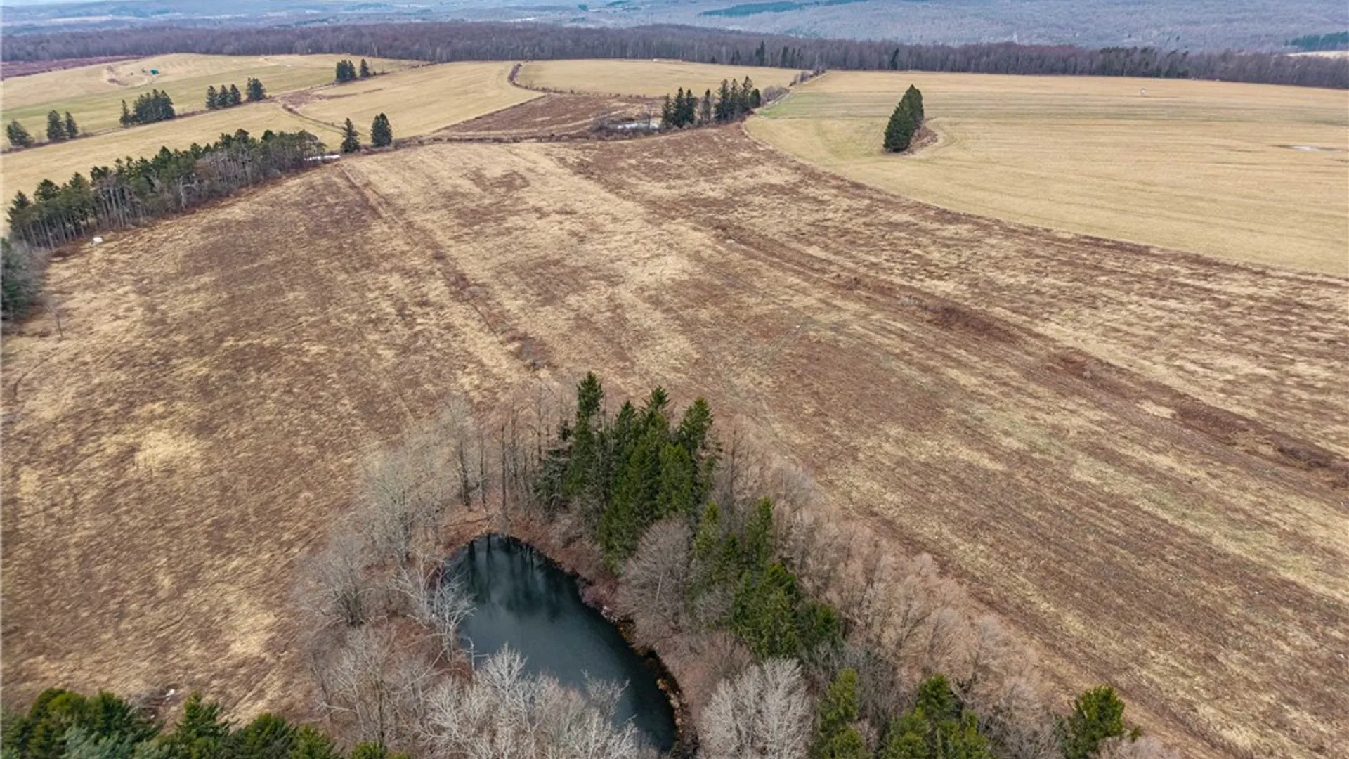 Property at Engdahl Road, Charlotte, NY 14782 19