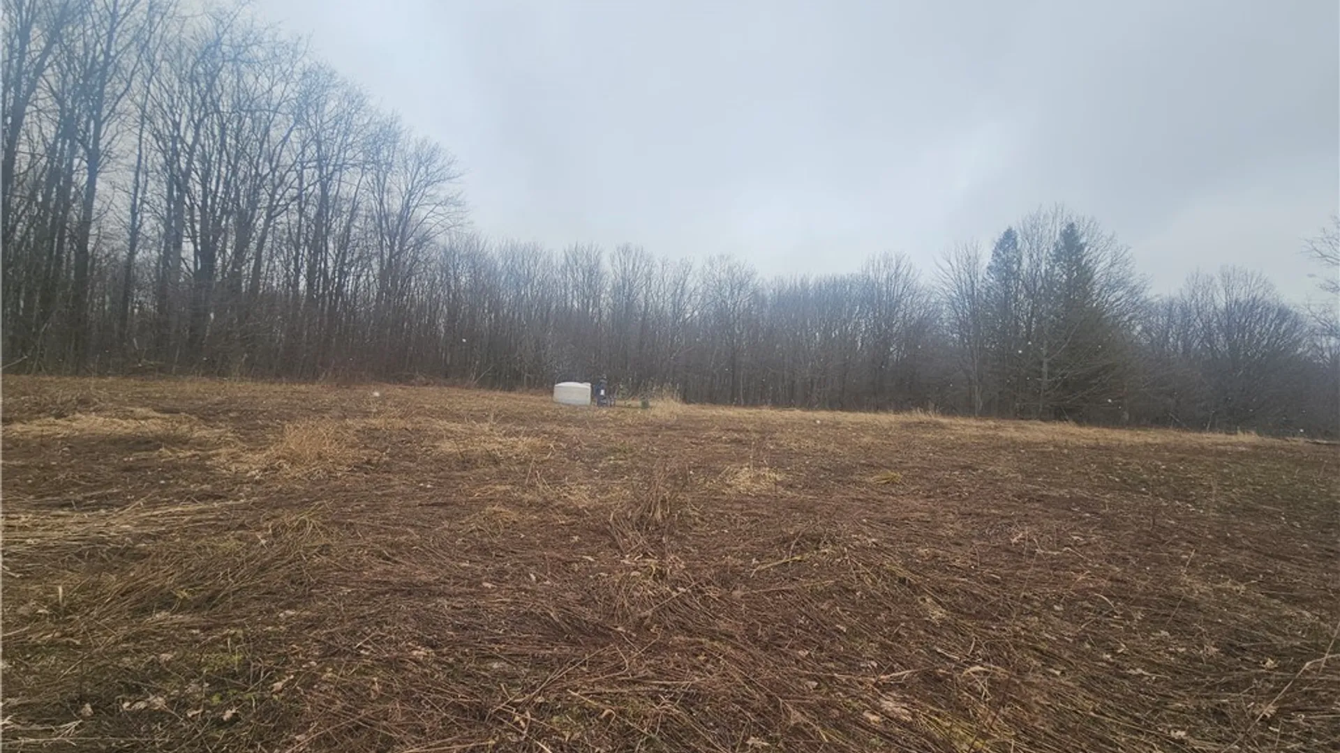 Property at Engdahl Road, Charlotte, NY 14782 30