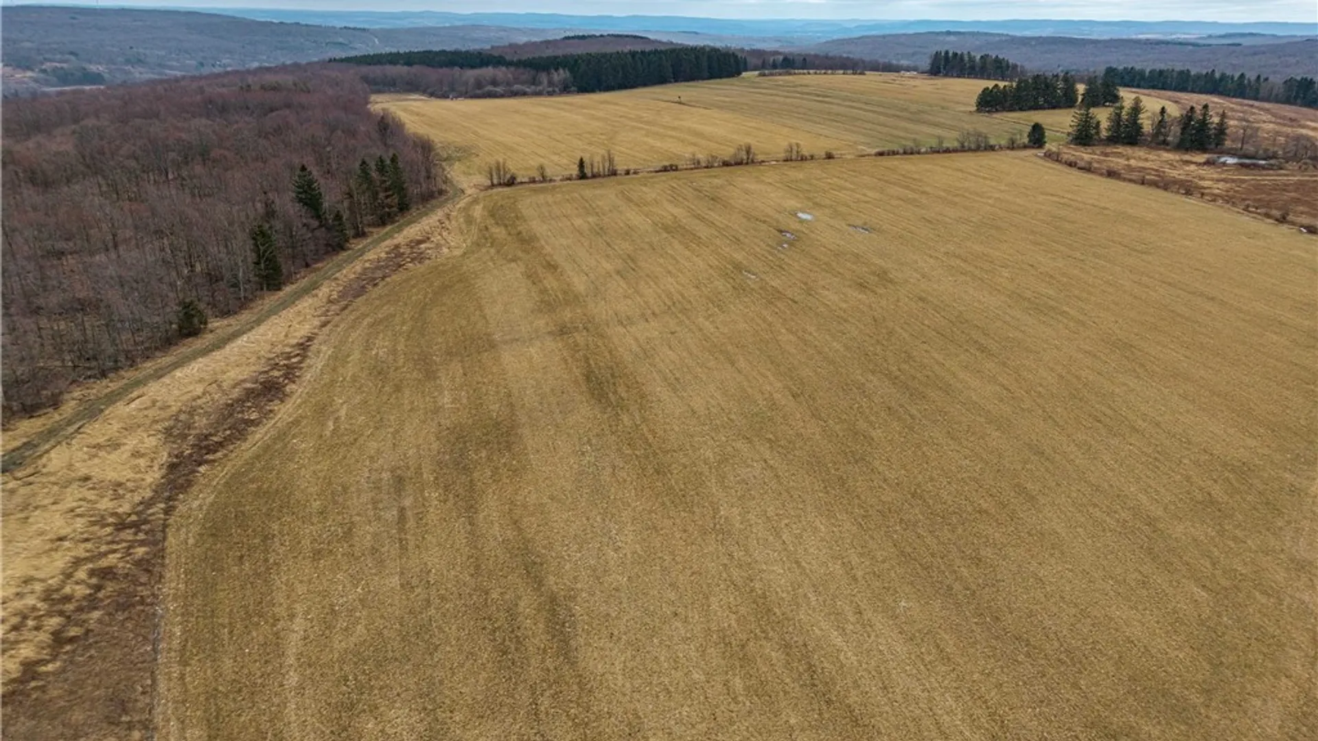 Property at Engdahl Road, Charlotte, NY 14782 4