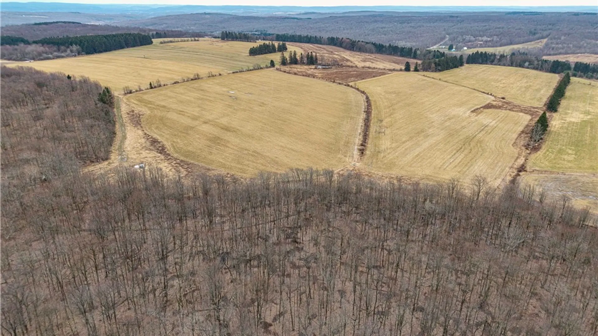 Property at Engdahl Road, Charlotte, NY 14782 5