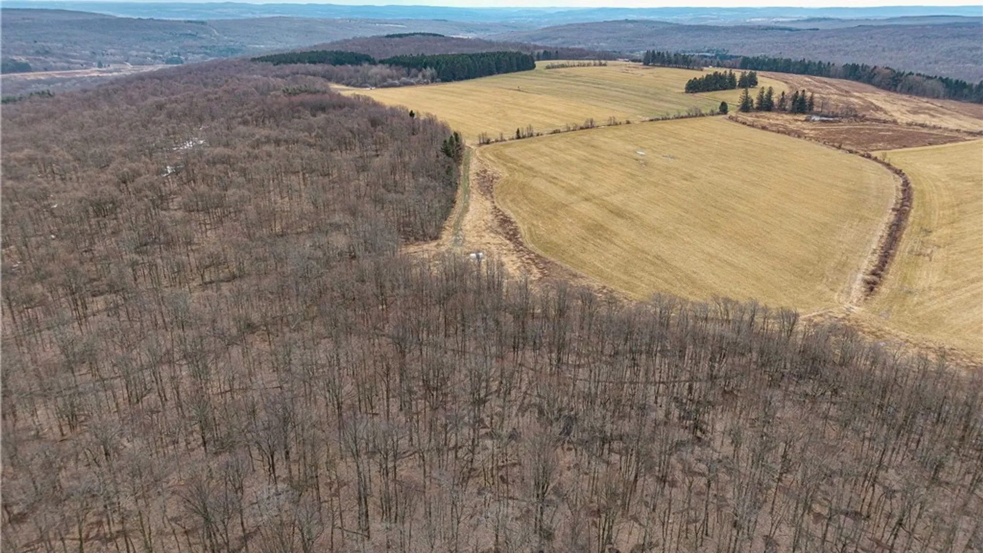 Property at Engdahl Road, Charlotte, NY 14782 6