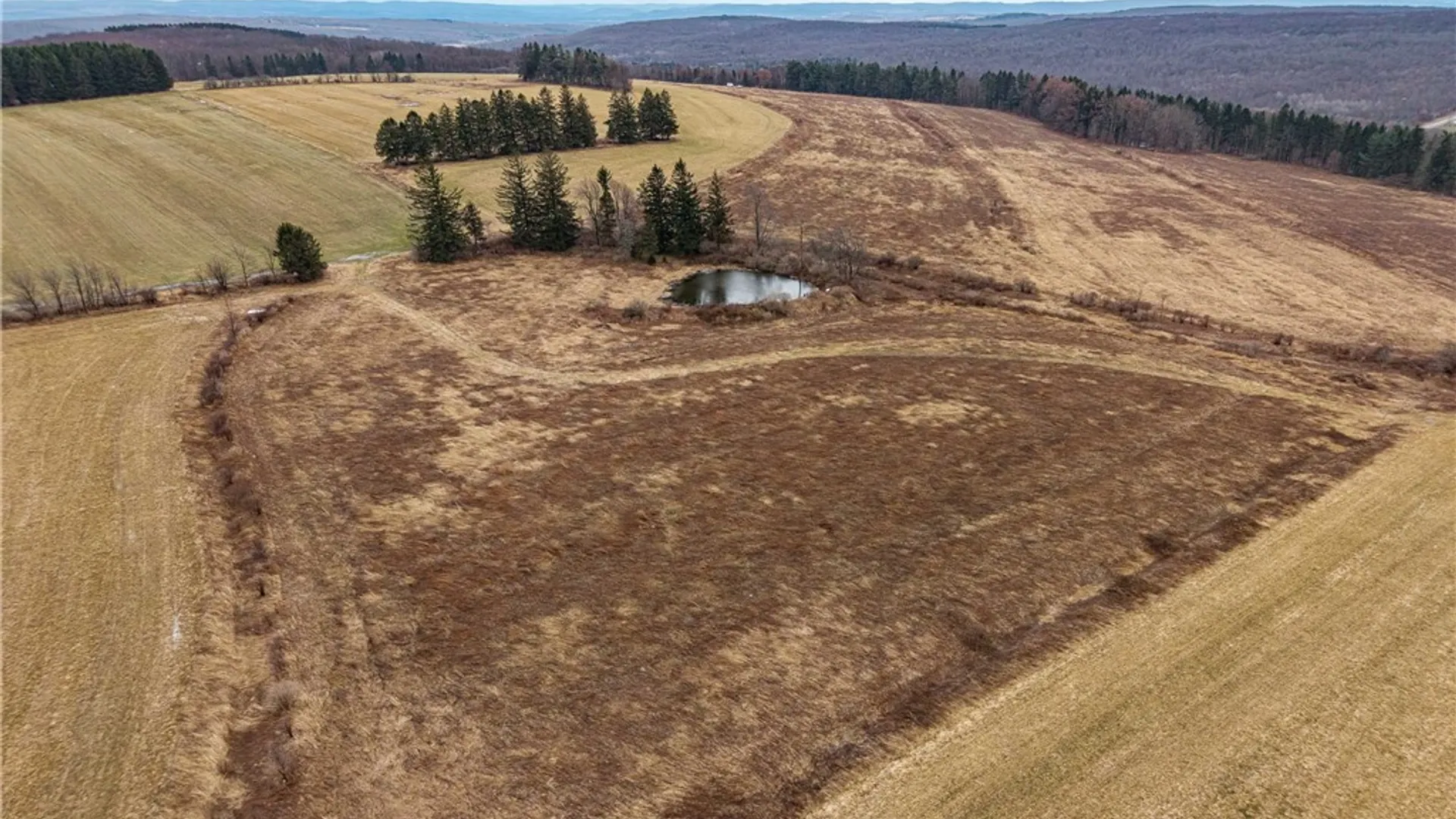 Property at Engdahl Road, Charlotte, NY 14782 8