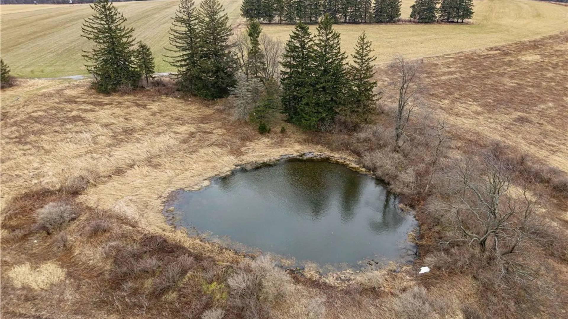 Property at Engdahl Road, Charlotte, NY 14782 9