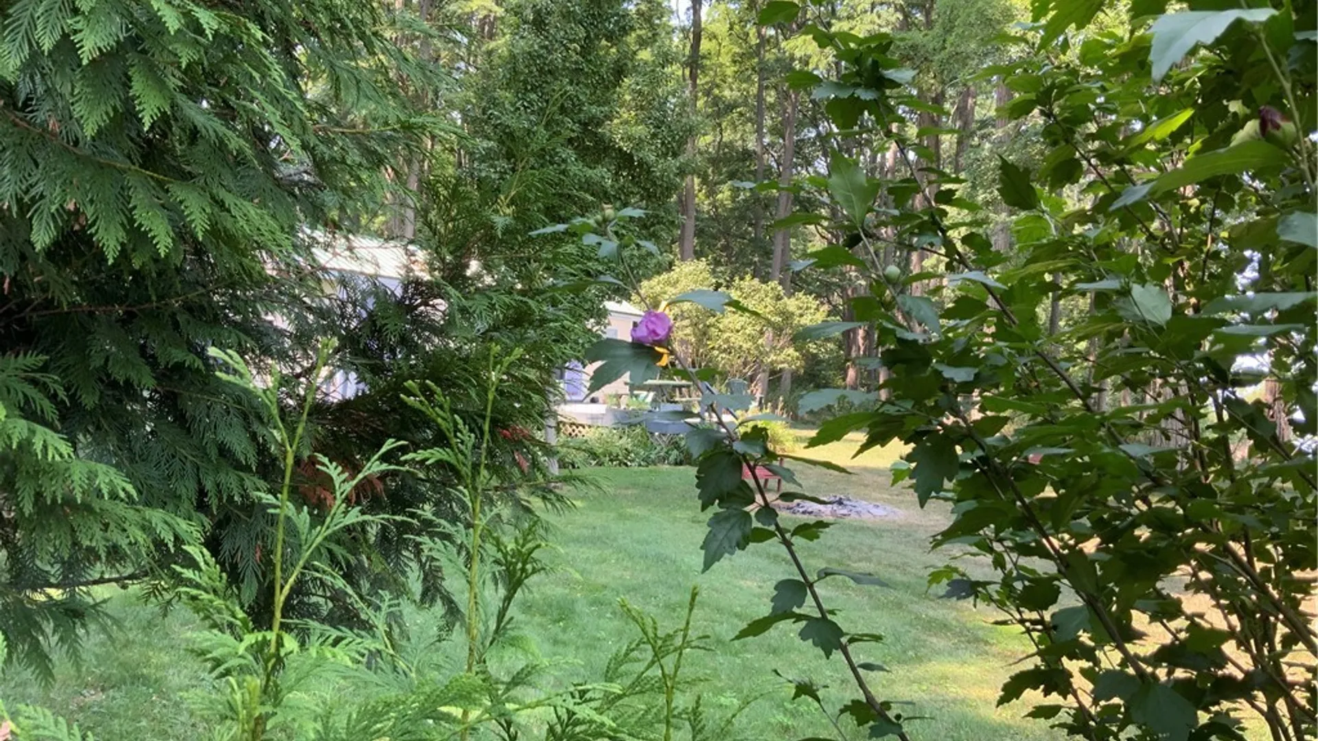 Property at 11997 Power Ln.# 38, Yates, NY 14098 12