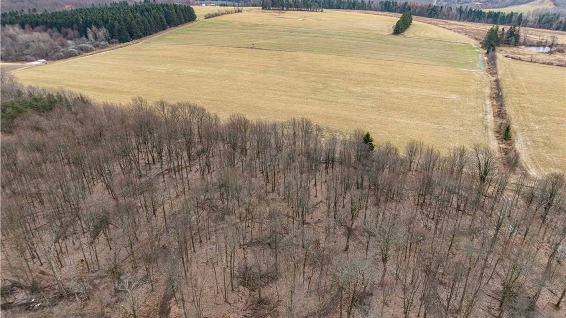 Property at Engdahl Road, Charlotte, NY 14723 10